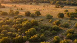 higher ground aerial services