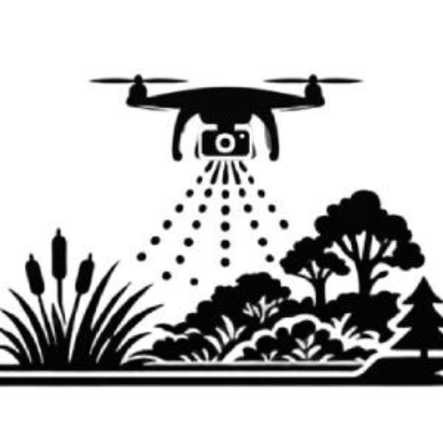 Aerial Vegetation Management 2