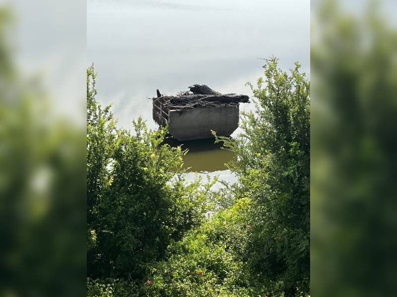 Higher Ground - Aerial Land and Wildlife- Gallery