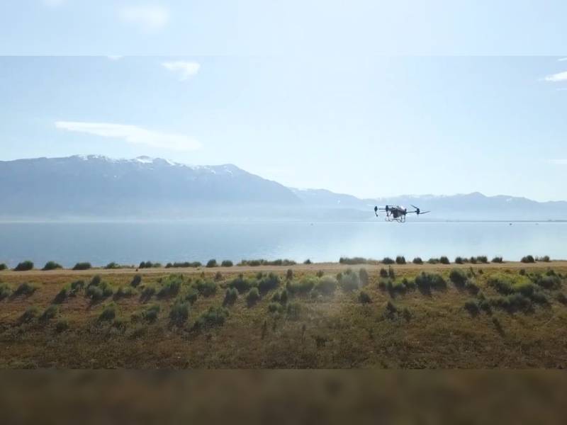 Higher Ground - Aerial Land and Wildlife- Gallery
