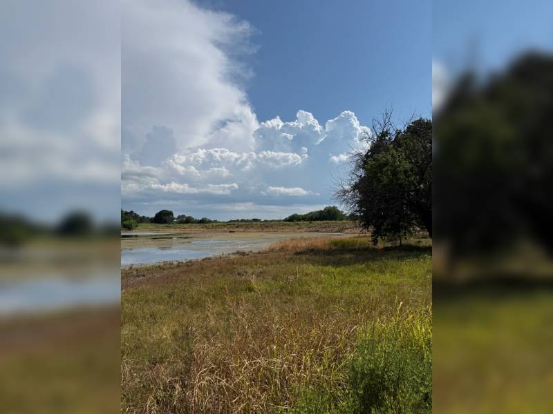 private lake and wetland on a ranch 1