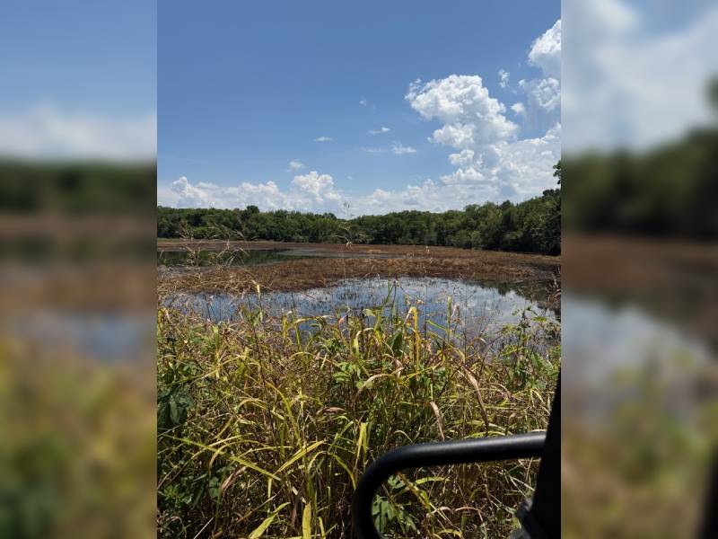private lake and wetland on a ranch 2