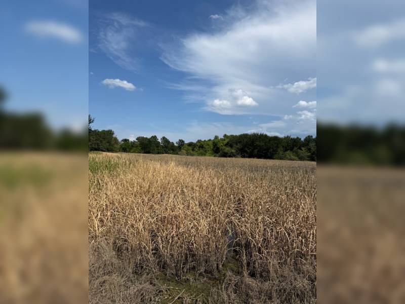 private lake and wetland on a ranch 3