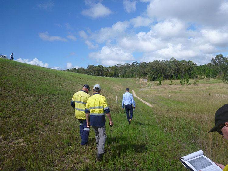 Dense brush along an earthen embankment requiring vegetation assessment